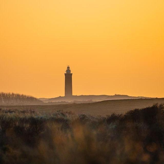 Vakantiewoning De Schelp إليميت المظهر الخارجي الصورة